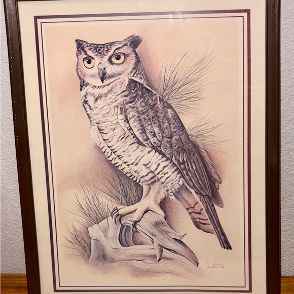 Latta Other - Vintage Owl Wall Art in Brown Frame by Latta